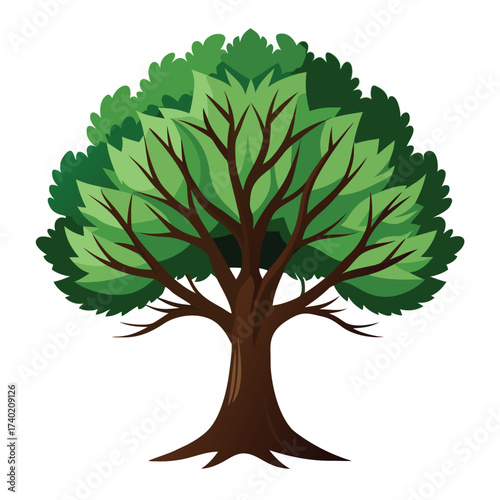 Blackjack oak with distinctive triangular, three-lobed leaves, a small, twisted, scrubby species adapted to poor, dry, post-oak soils.