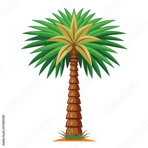 Tall date palm with a sturdy trunk and a crown of long, arching, pinnate fronds, a classic icon of warm, arid landscapes and oases.