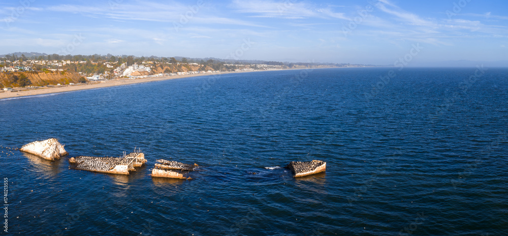 Fototapeta premium The SS Palo Alto wreck lies broken in calm blue waters near Aptos, California, with seabirds perched on its remains and a sandy beach in the background.
