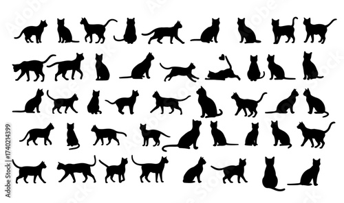 Cat Silhouettes Vector Sheet – 5 Categories of Breeds, Poses, Emotions, Interactions & Accessories – Minimal Geometric Flat Icons