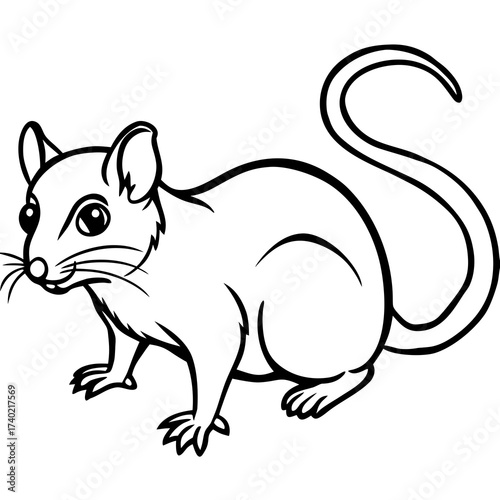 Minimalist Dormouse Line Art Vector Illustration on White Background
