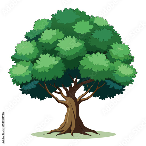 Holm oak, an evergreen Mediterranean species with a rounded, dense crown and small, dark, often spiny leaves, a symbol of resilience.