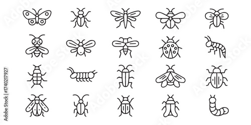 educational insect line art collection minimal vectors bees beetles flies ants caterpillar snail printable png jpeg