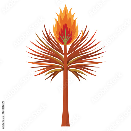 Longleaf pine with extremely long needles grouped in dense bundles, a unique, fire-adapted species of the southeastern coastal plain.