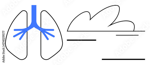 Simplified lung design merging into a minimalistic cloud, emphasizing respiration, air flow, and environmental link. Ideal for health, environment, biology, awareness, pollution care and abstract