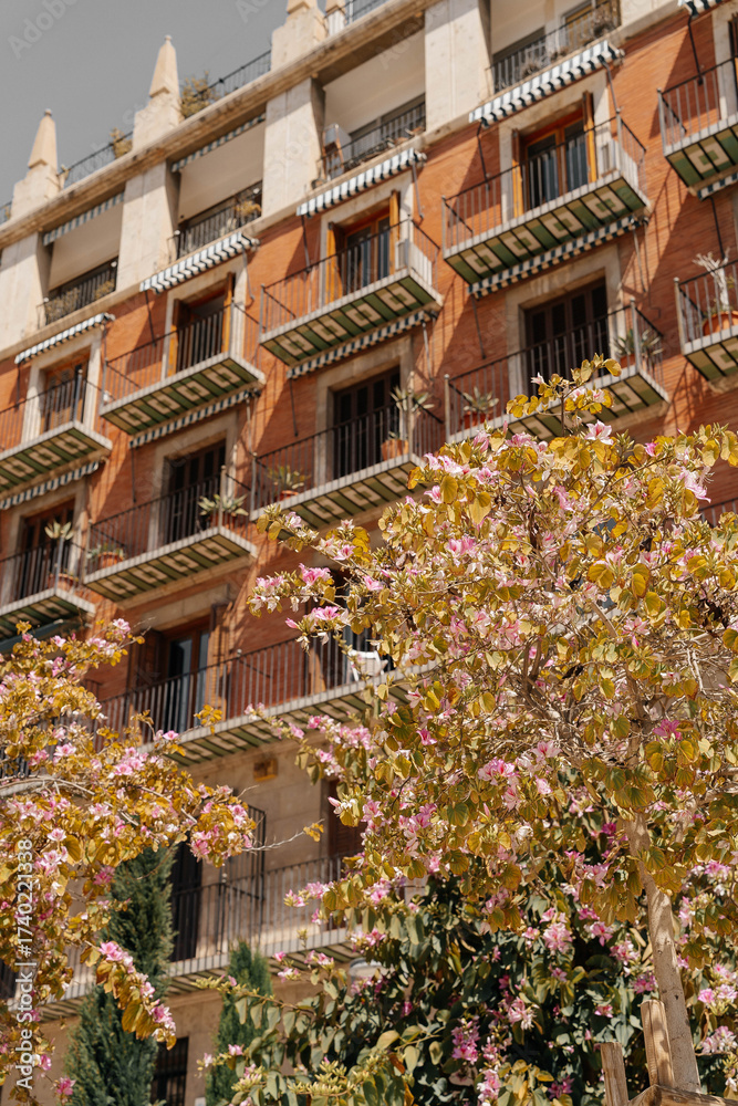 Fototapeta premium old houses in the city of valencia