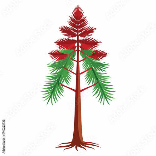Fresh young coast redwood sapling, featuring reddish bark and soft, fern-like green needles, symbolizing the beginning of a giant's life.