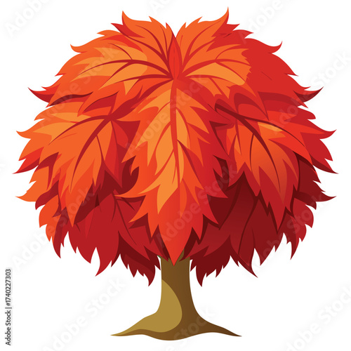 Shishigashira Japanese maple, a unique cultivar with dense, crinkled, tightly layered foliage, giving it a distinctive lion's mane appearance.