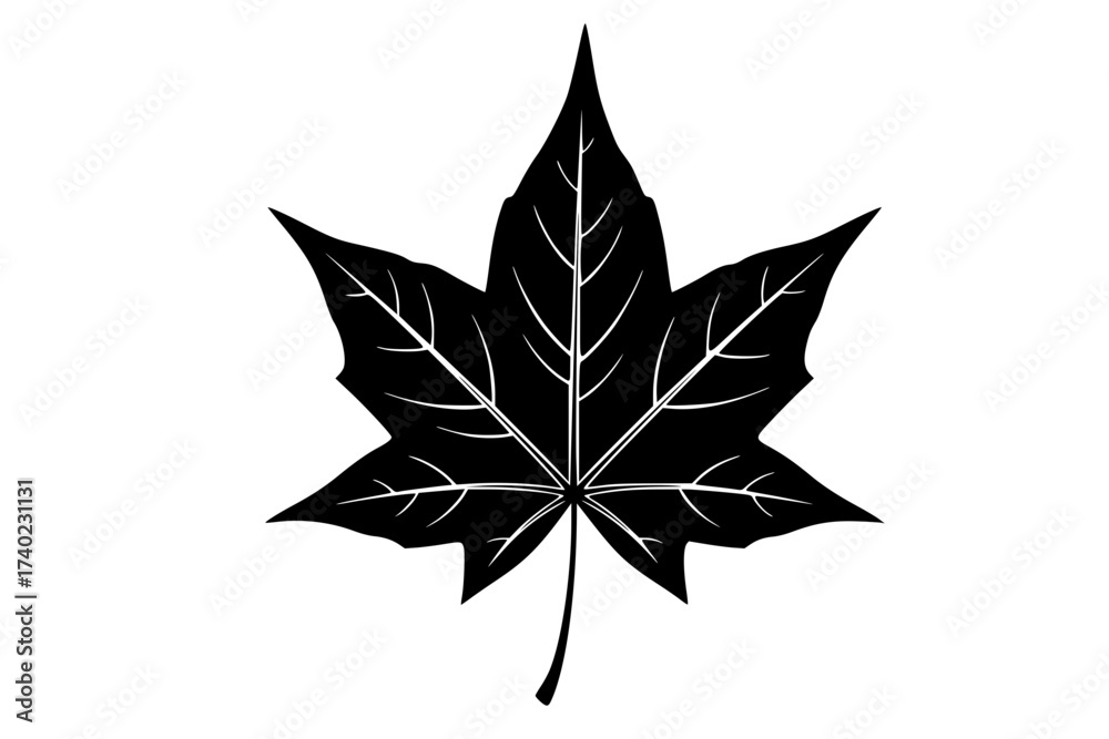 Obraz premium Black Vector Silhouette: Single Stylized Maple Leaf 
