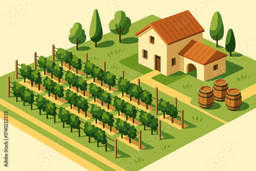 Vineyard rows illustration farmhouse barrels isometric vector grapevines arranged scene nearby