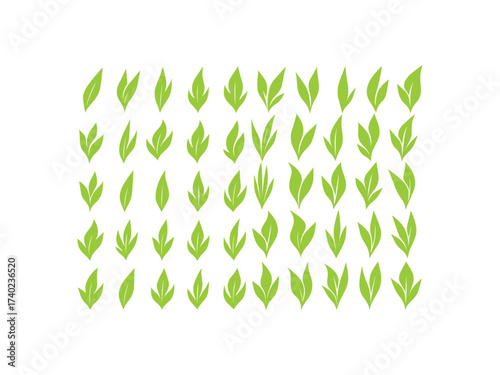 Herb icons vector fresh leaves organic plant nature healthy food spnature invitation leaf cards