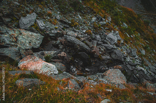 Billede på lærred Moody Texture of Rugged Alpine Slope Covered in Boulders, Scree, and Dry Grass