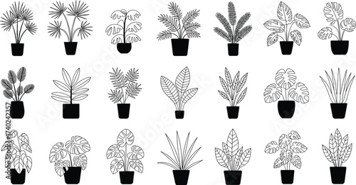 Black and white botanical plant silhouettes, indoor foliage illustration, decorative potted plants, leaf design collection, nature art, minimalist greenery set