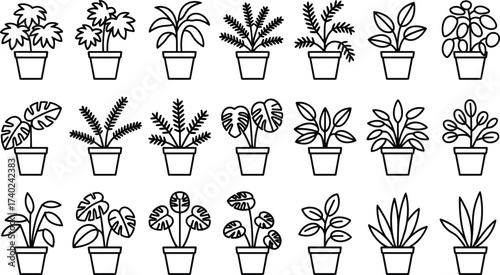 Botanical line art potted plants, black and white foliage illustration, decorative indoor greenery, minimalist leaf design, nature drawing, modern botanical collection