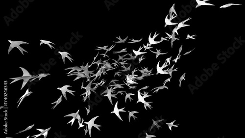 ptactwo, ptaki, ptak, skrzydła, lot, latać, fruwać