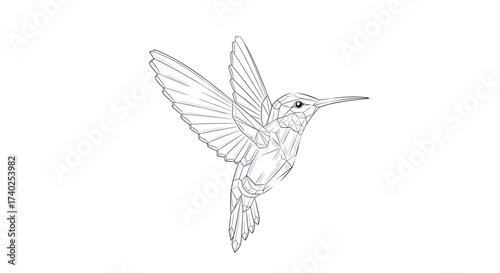 Geometric Hummingbird Illustration Soaring on White Background with Clean Lines