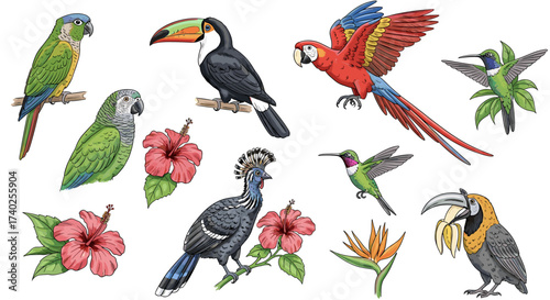Colorful Exotic Birds and Tropical Flowers Collection Isolated on White