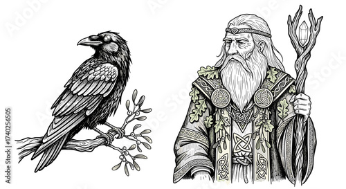 Raven perched and ancient druid illustration in monochrome detailed ink