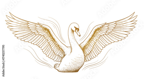 Elegant golden swan illustration with outstretched wings on white background