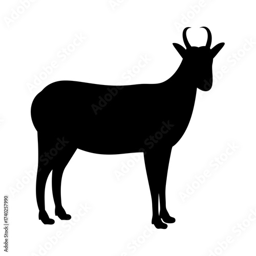 Silhouette of a Standing Chamois, Wild Goat with Small Horns, Animal