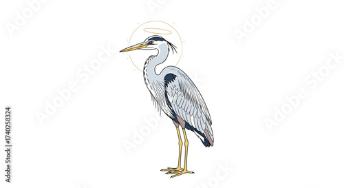 Graceful Heron with Halo, Bird Art Illustration