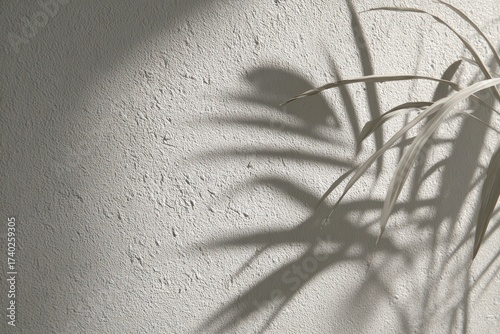 Close-up of rough, textured wall with a shadow of plant leaves in natural lighting
