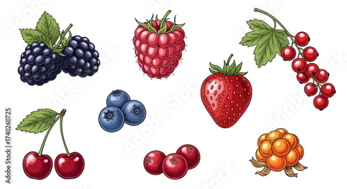 Colorful Assortment of Fresh and Luscious Berries on White Background