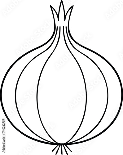 Vector art of simple line drawing of an onion