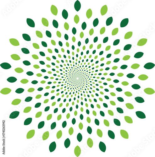 Abstract green leaf mandala pattern radiating outwards from the center isolated on transparent background