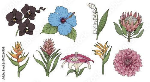 Colorful Floral Collection of Various Exotic and Common Flower Types