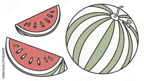 Fresh watermelon and melon illustration with slices