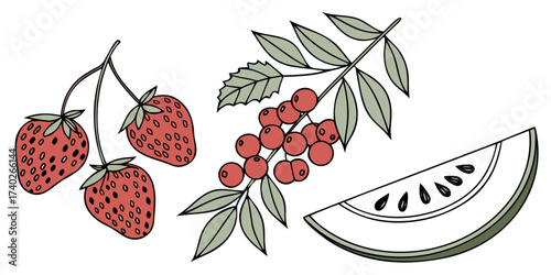 Fresh strawberries, raspberries, and watermelon slice with green leaves