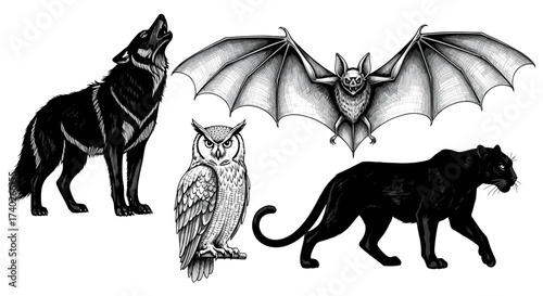 Mystical Creatures: Wolf, Owl, Bat, and Panther Illustration on White