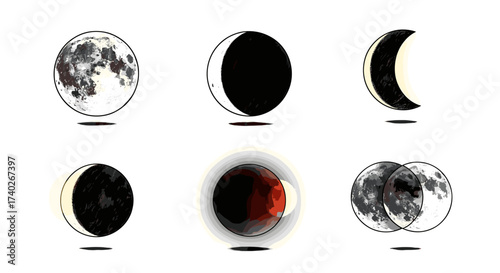 Lunar cycle showing different phases of the moon elegantly presented.