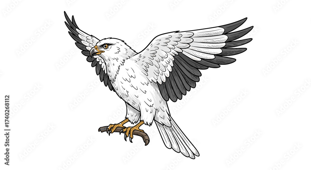 Obraz premium Majestic white hawk with outstretched wings, a symbol of freedom.