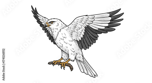 Majestic white hawk with outstretched wings, a symbol of freedom.