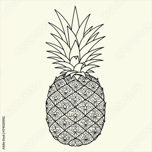pineapple sketch vector illustration