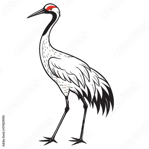 whooping-crane-vector-