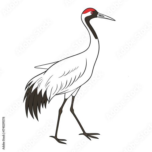 whooping-crane-vector-