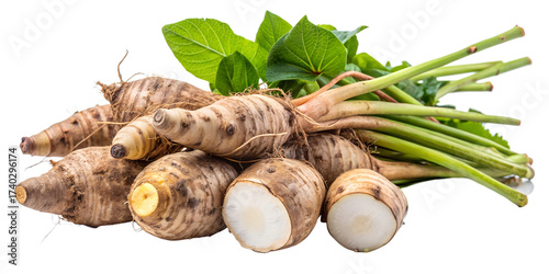 Freshly harvested jerusalem artichokes with green leaves isolated on transparent background