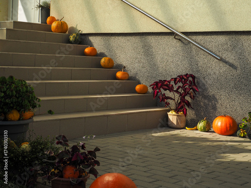 Staircase Decorated with Pumpkins Along the Wall — Cozy Autumn Home Decoration
