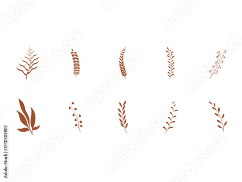 Aesthetic Leaf Brown