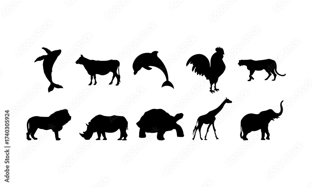 Obraz premium Various Animal Silhouette Vector