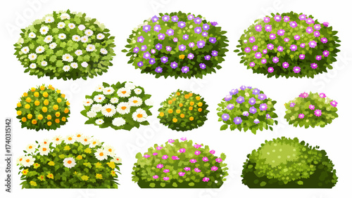 Cartoon shrub bush set. Garden green decoration bushes, illustrated hedge shrubs plants isolated on white background
