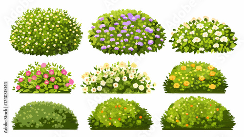 Cartoon shrub bush set. Garden green decoration bushes, illustrated hedge shrubs plants isolated on white background