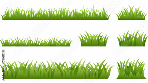 Cartoon shrub bush set. Garden green decoration bushes, illustrated hedge shrubs plants isolated on white background