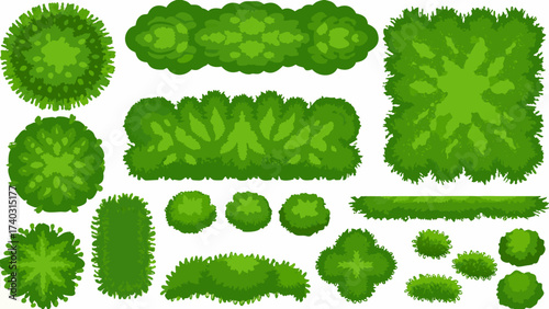 Cartoon shrub bush set. Garden green decoration bushes, illustrated hedge shrubs plants isolated on white background