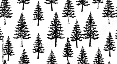 Hand-drawn pine tree pattern seamless forest background illustration for nature, winter, Christmas, woodland, textile, wallpaper, and design use.