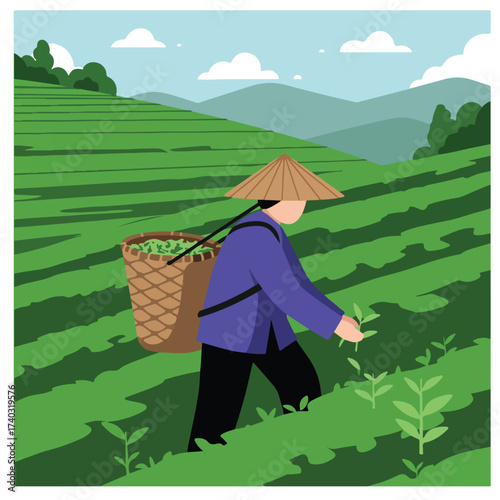 Farmer in conical hat harvesting tea leaves on a lush green hillside with mountains in distance