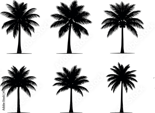 Palm tree silhouette set isolated on white background, tropical nature icons for summer, beach, travel, botanical, and landscape design